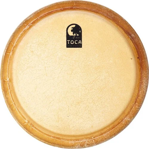 11 in CONGA HEAD FOR LE/CUST DLX