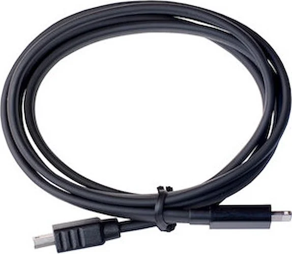 1m Lightning iPad Cable for ONE iOS Image
