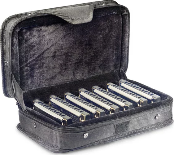 Blues harmonica set w/ case