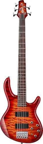 Action Dlx V-Plus-CRS 5 String Pplr Bd w/QltMp Tp Markbass Eq