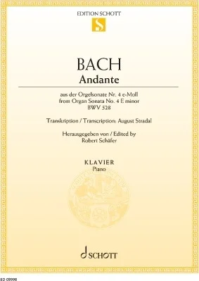Andante - from Organ Sonata No. 4 E Minor BWV 528