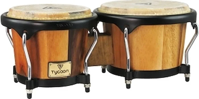 Artist Series Jamjuree Bongos