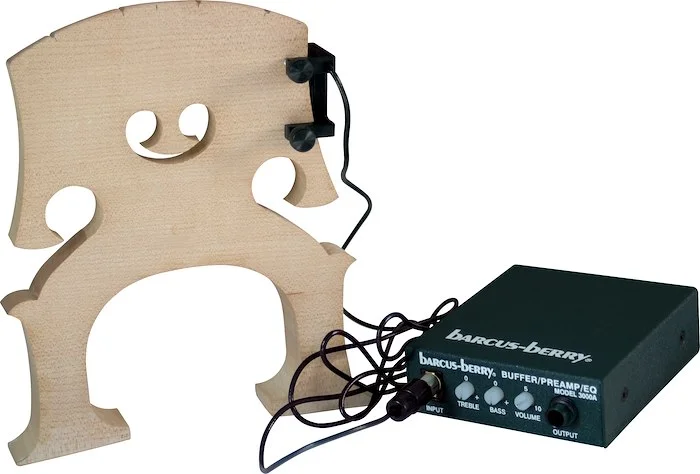 BASS TRANSDUCER AND PREAMP