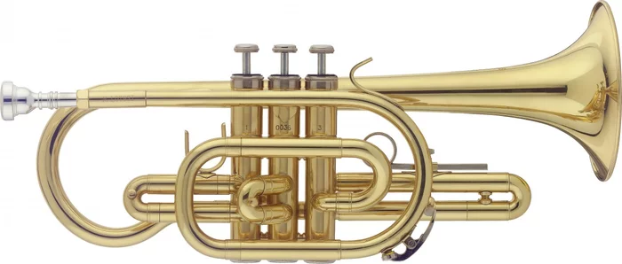 Bb Cornet, in ABS case Image