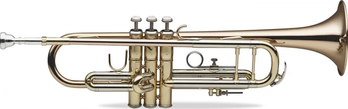 Professional Bb Trumpet, Bell and leadpipe in gold brass