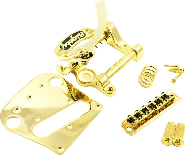 Bigsby B5 with WD Telecaster Conversion Kit Gold
