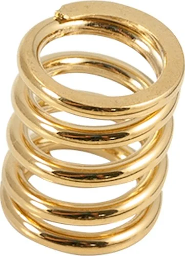 Bigsby Replacement 7/8 in. Spring Gold