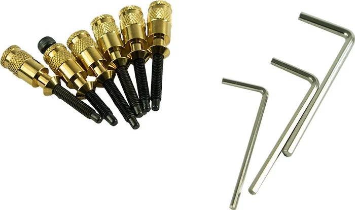 Black Cherry USA Hollow Point Intonation System For Double Locking Tremolos Gold