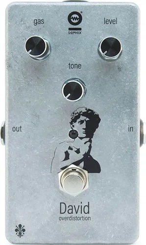 David Over Distortion