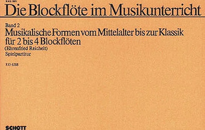Die Blockflote im Musikunterricht (Recorder in Music Education) Vol. 2