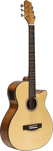 ElElectro-acoustic auditorium guitar with cutaway