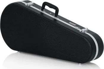 Mandolin Case Standard Fit