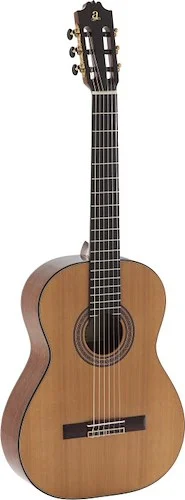 GT.CL ALL SLD CED TOP MAHO B&S