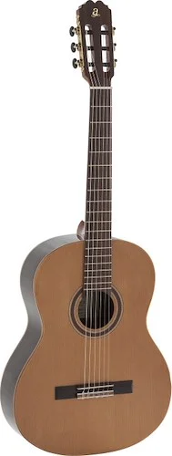 GT.CL SLD CED TOP-OVANKOL B&S