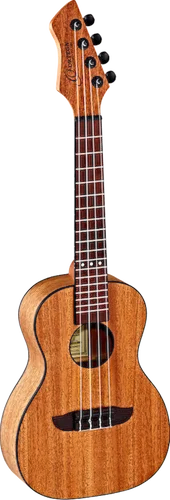 Horizon Series RUHZ-MM Concert Ukulele