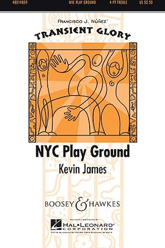 NYC Play Ground - Transient Glory Series