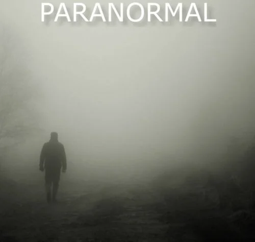 Paranormal (Download)<br>A collection of eerie synthesized tones, ominous drones, abstract textures and ghostly vocals ready to add a whole new dimension to your horror projects.
