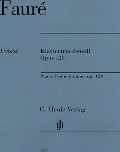 Piano Trio in D Minor Op. 120