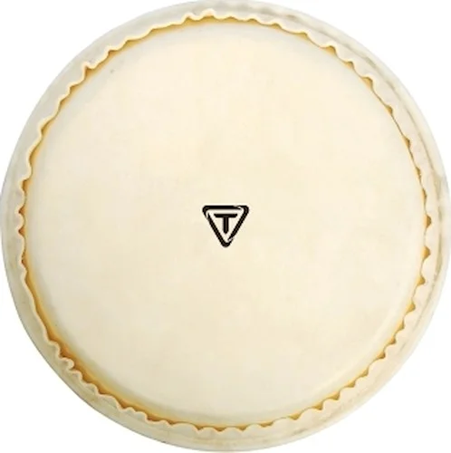 Signature Series Replacement 11" Quinto Head (calf)