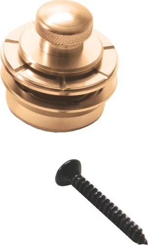 Solid Brass Strap Lock (Gold)