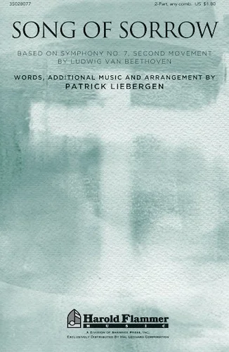 Song of Sorrow - Based on Symphony No.7, Second Movement by Ludwig van Beethoven