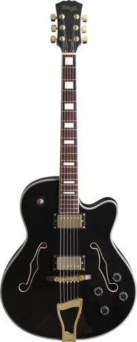 "Jazz"-style electric guitar - Semi-acoustic model