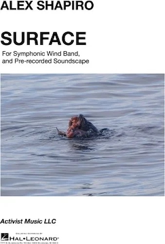 Surface from Immersion