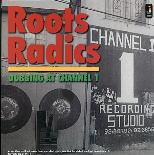 The Roots Radics - Dubbing At Channel One (180g)