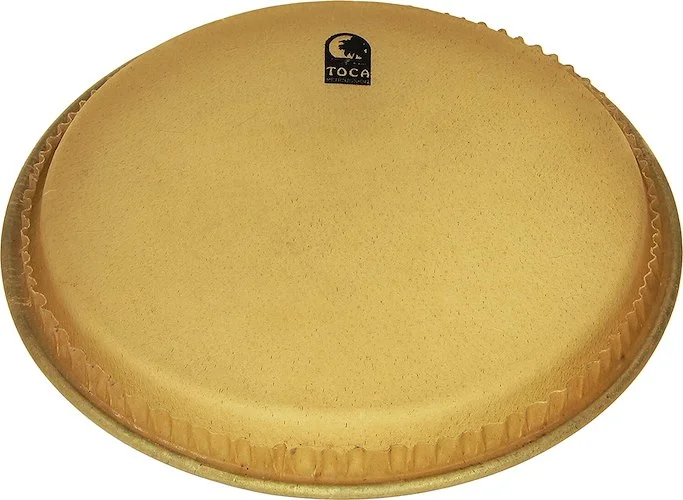 TOCA 12 in HEAD FOR 3310