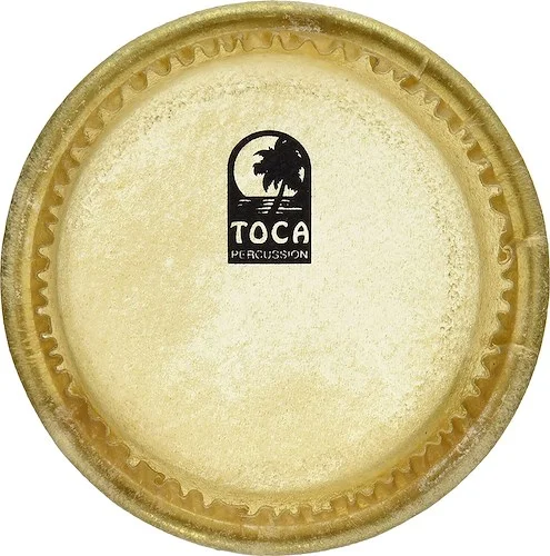 TOCA 5 in HEAD FOR 3308