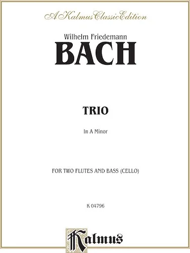Trio in A Minor: For Two Flutes and Bass (Cello)