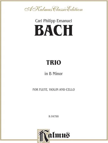 Trio in B Minor