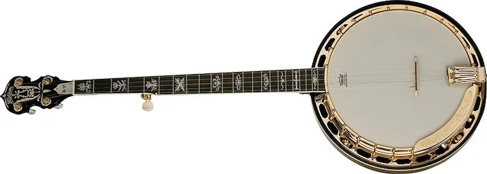 Washburn B17 Americana Series 5 String Banjo. Tobacco Sunburst