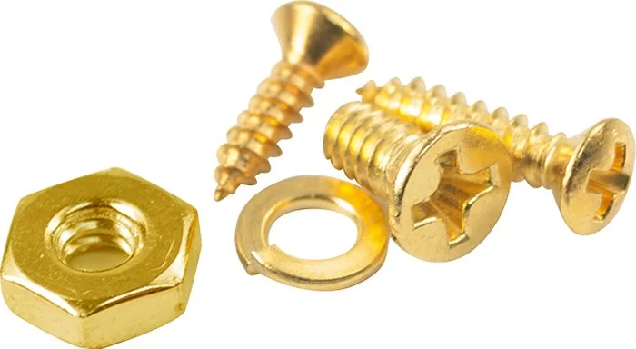 WD Deluxe Screw Kit For Les Paul Style Pickguard Brackets Gold