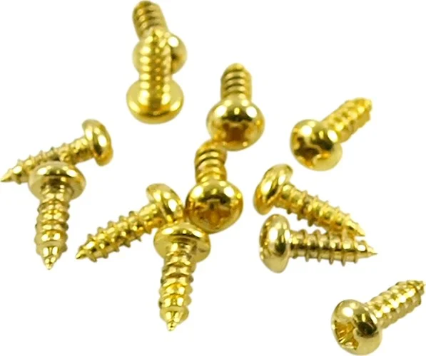 WD Screws For Truss Rod Covers Gold Pack Of 50