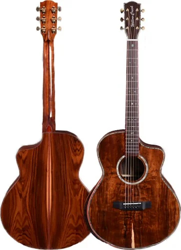 Willow Creek Dreadnought Guitar FX-PG00 with  Solid Bolivian Top, FXA and beveled armrest 