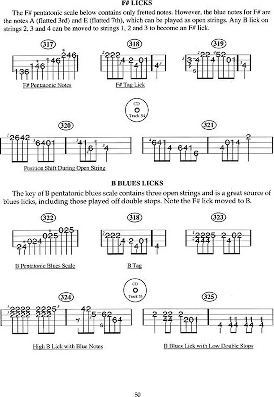 400 Smokin' Bluegrass Mandolin Licks 888680622633 eBay