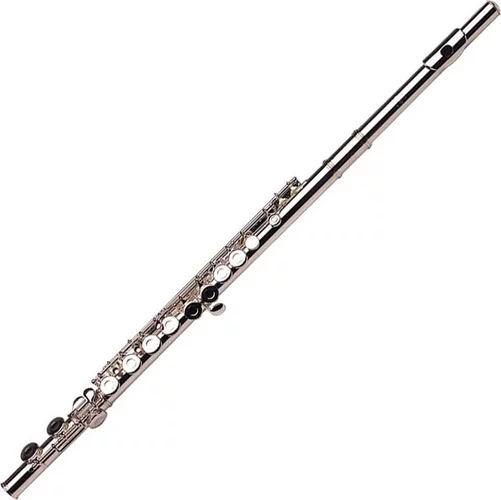 Gemeinhardt 2SP Flute - Straight Headjoint