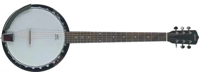 Lyman LB-206 Banjo