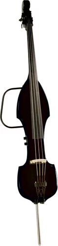 Palatino VE500 3/4 Electric Upright Bass, Black