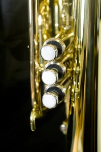 Thumbnail Image 16