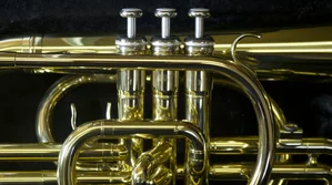 Thumbnail Image 20