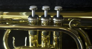 Thumbnail Image 4