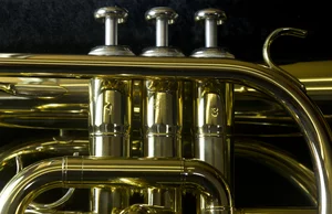 Thumbnail Image 8